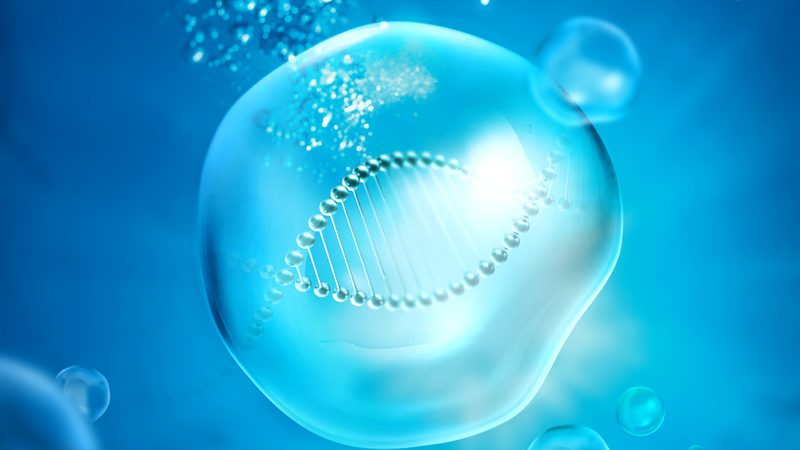一次性生物反应器：细胞治疗领域的革新力量