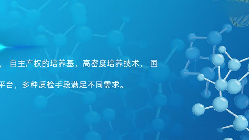 细胞培养生物反应器：型号选择背后的考量