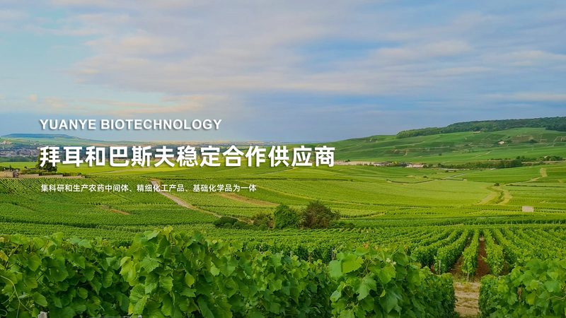无血清培养基：生物制药领域的关键要素