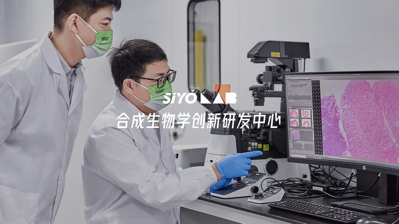 生物制品冷链运输：保障品质，揭秘批发报价**