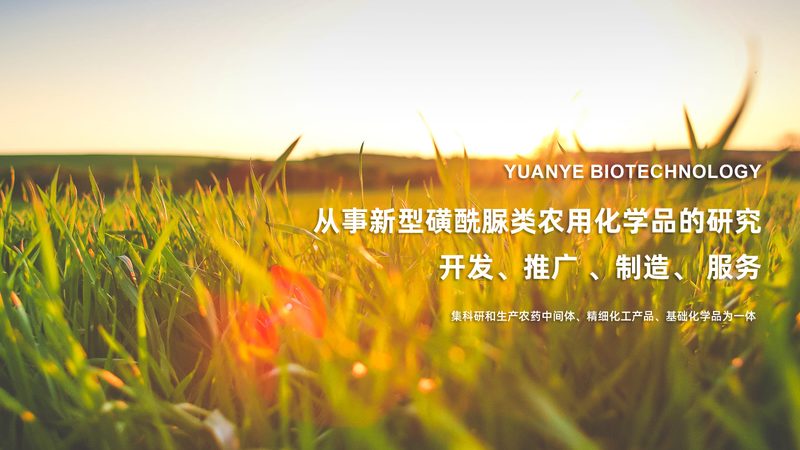 基因编辑试剂性价比高厂家