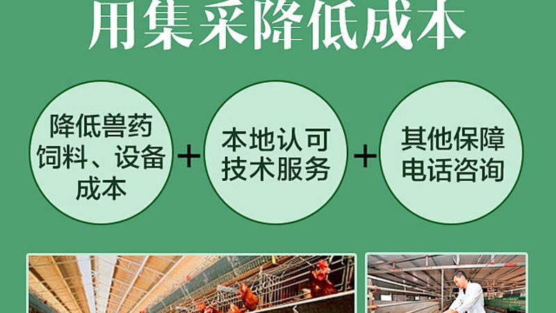 离心管：实验室中不可或缺的“小助手”**
