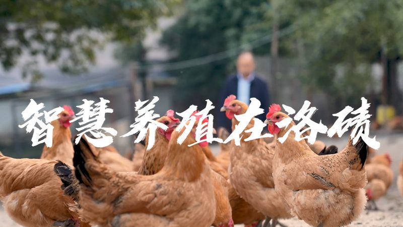 离心管代理加盟，如何选择可靠品牌？**