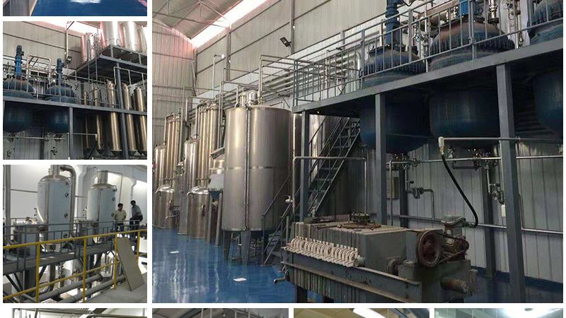 CDMO定制研发：助力企业加速新药研发进程