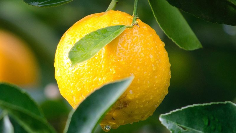 生物科技实验设备：如何选择合适的代理加盟伙伴**