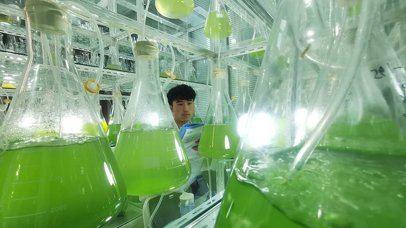 全外显子组测序与单基因病检测：如何选择更适合的技术